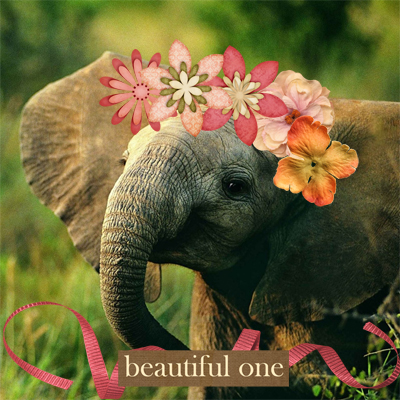 Pimp my Pachyderm
