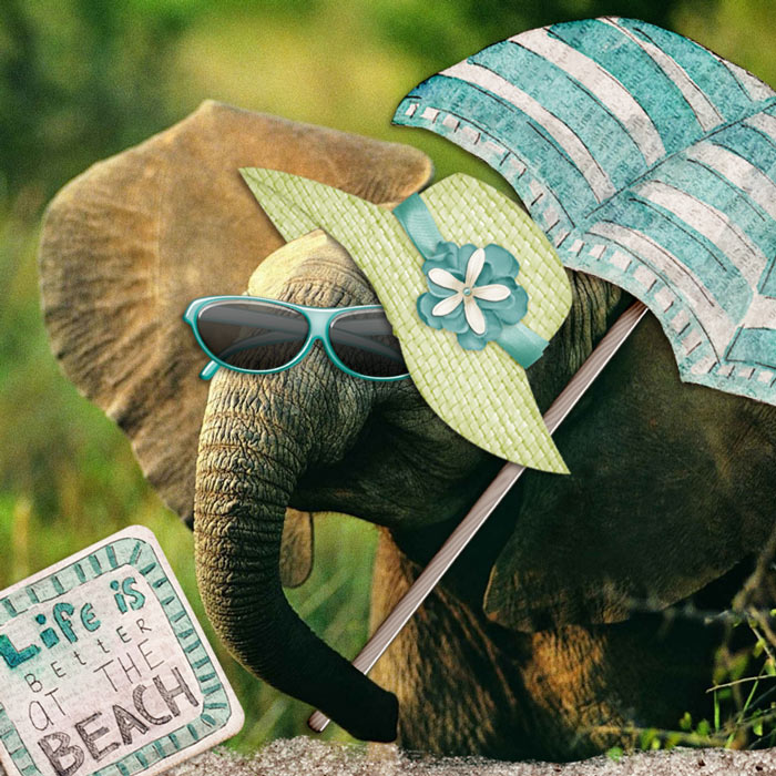 Pimped-up pachyderm :-)