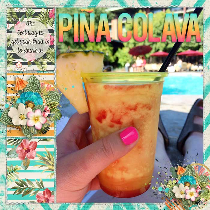 PINA COLAVA