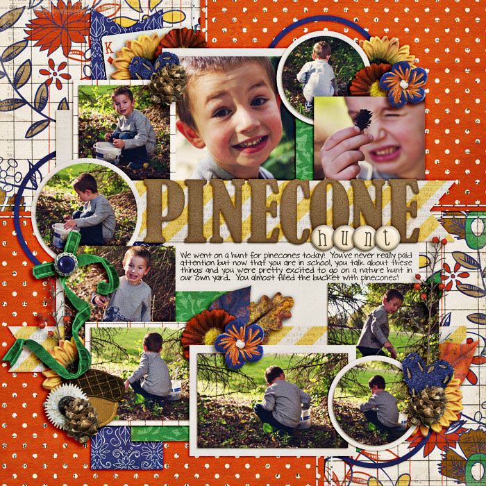 pinecone-huntSSD