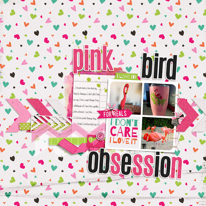 Pink Bird Obsession
