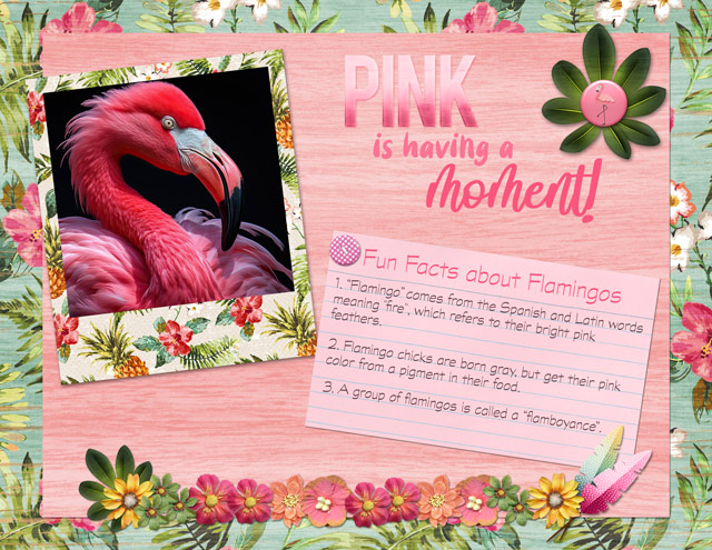 Pink is Having a Moment