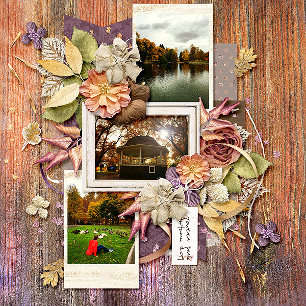 Pioneer Park Autumn 2019