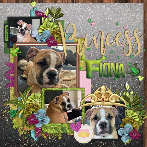 Pirncess Fiona