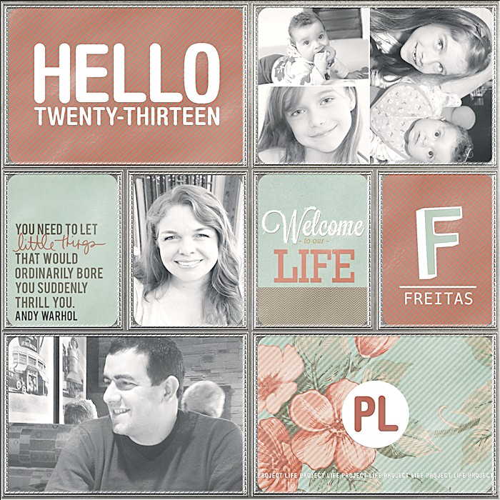 PL 2013 Cover