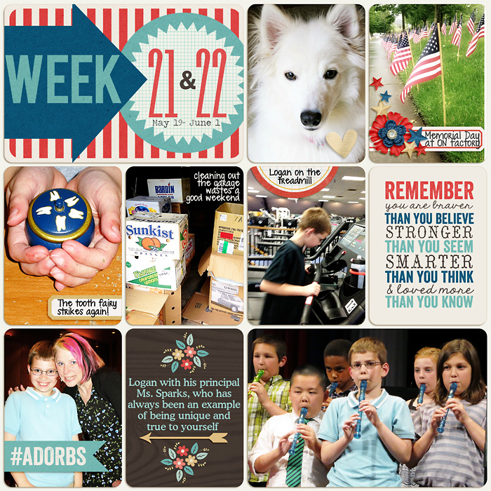 PL 2013- Week 21-22b