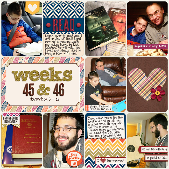 PL 2013- Week 45-46b