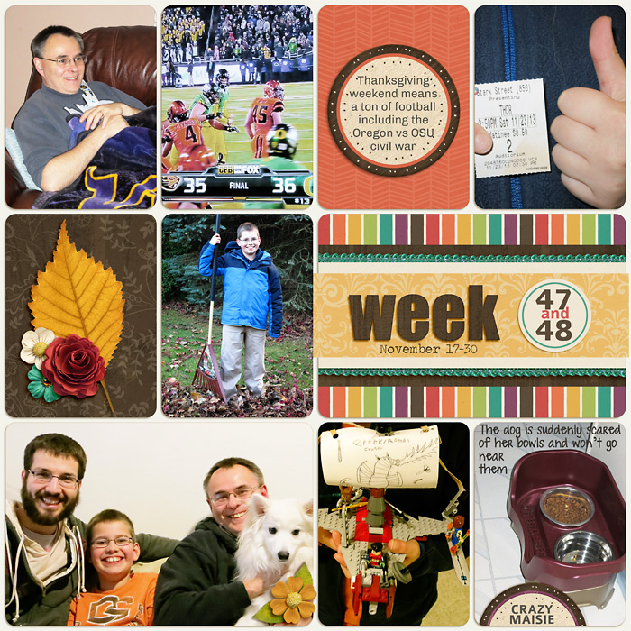 PL 2013- Week 47-48b
