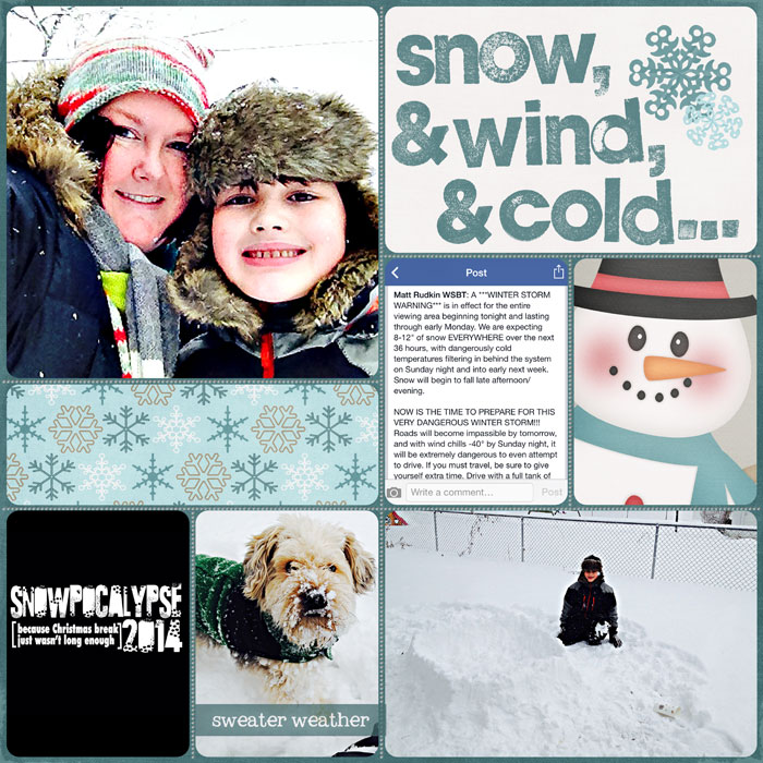 PL 2014: Snowpocalypse