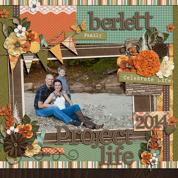Pl 2014 Title Page