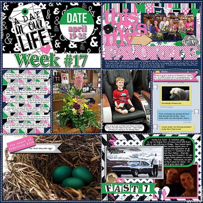 PL 2015 - Week 17A