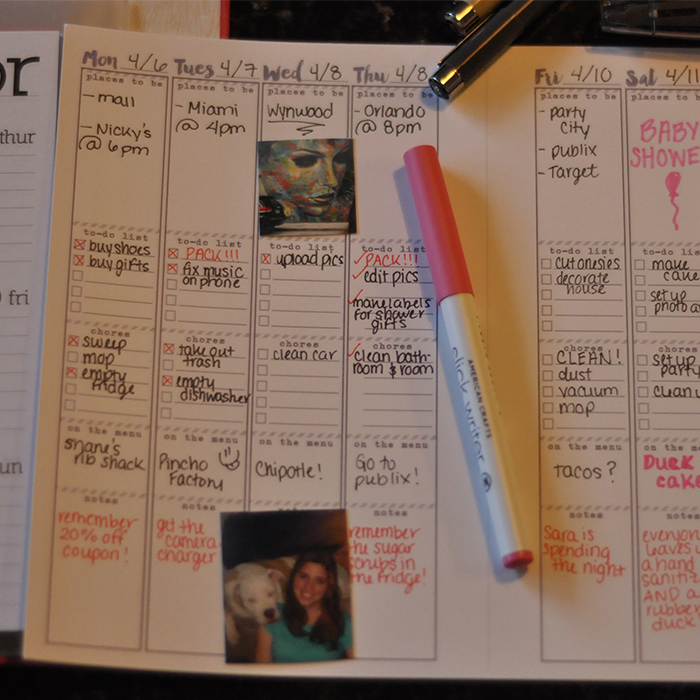 Planner Week 4/6