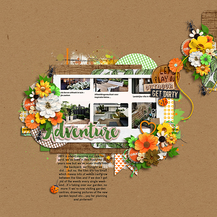 planning a new garden