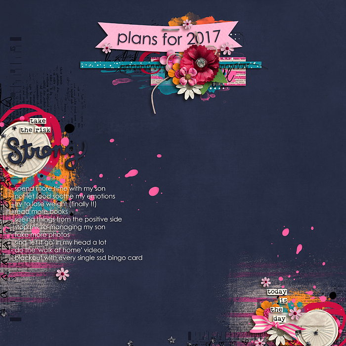 Plans for 2017