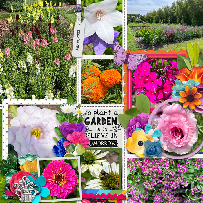 Plant A Garden