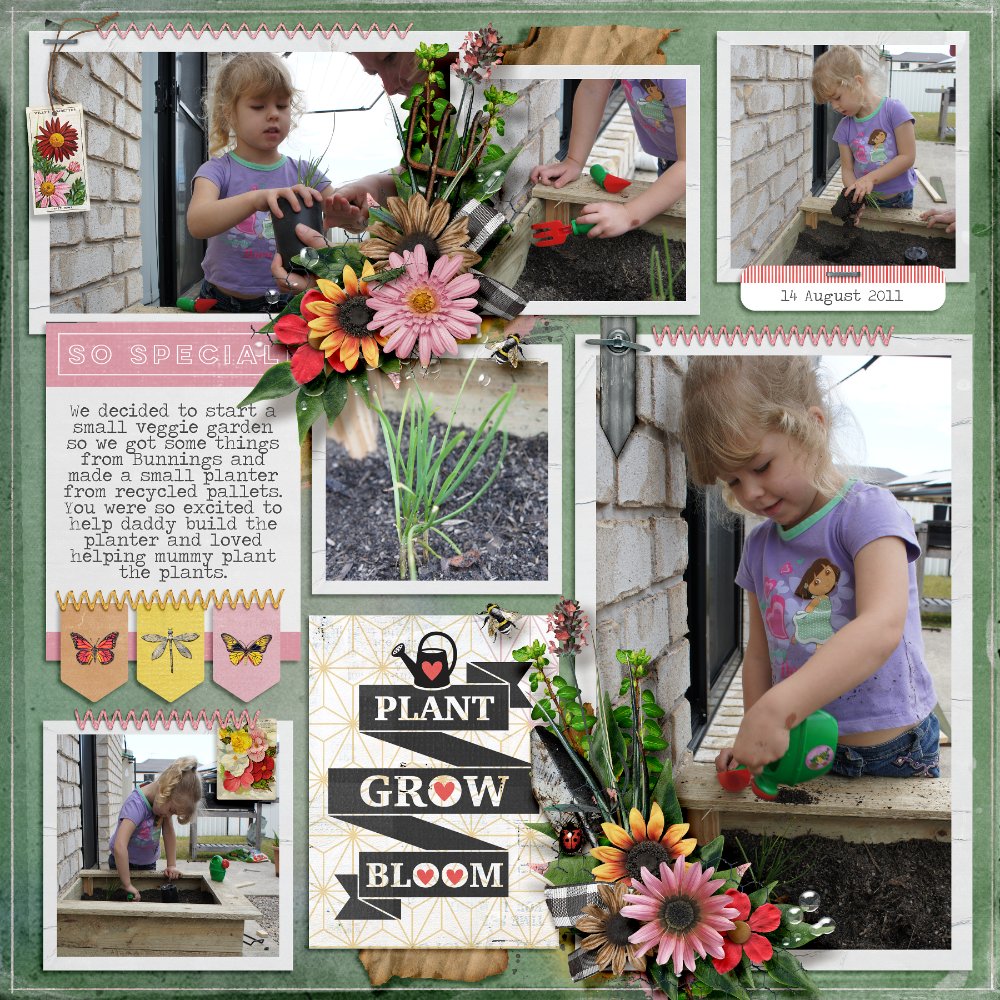 Plant, Grow, Bloom
