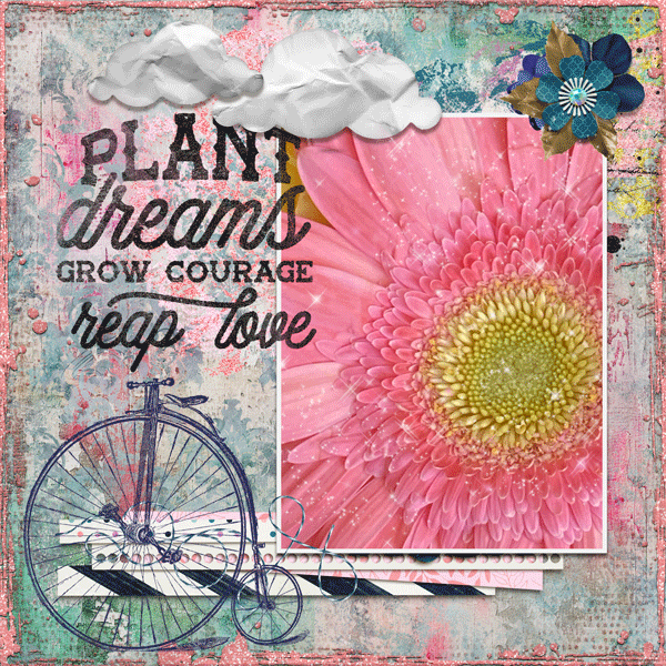 Plant, Grow & Reap