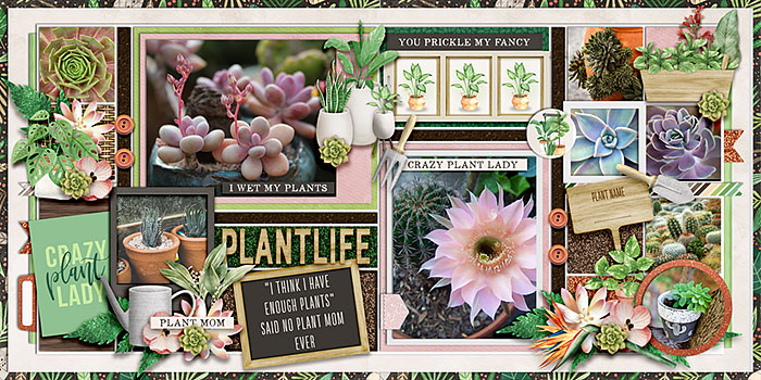 #plant life