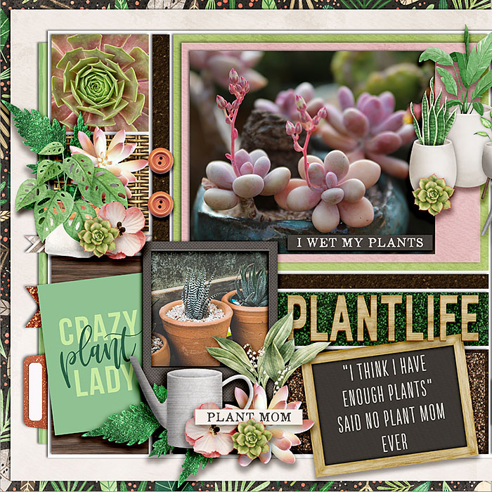 #plant life