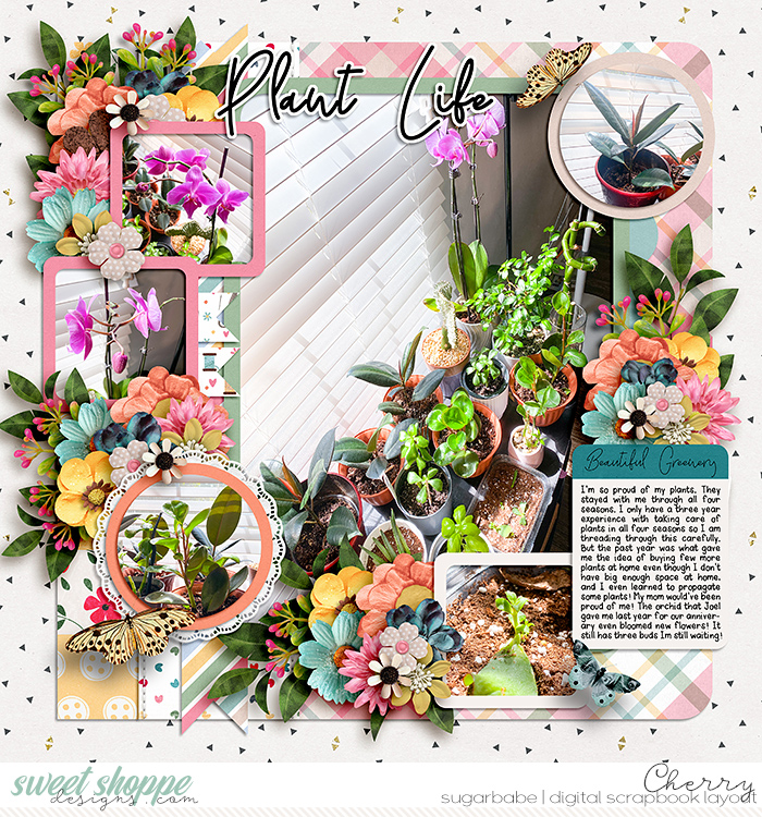 Plant Life