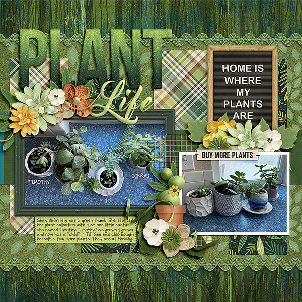 Plant Life