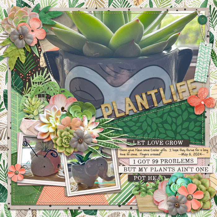 Plant Life