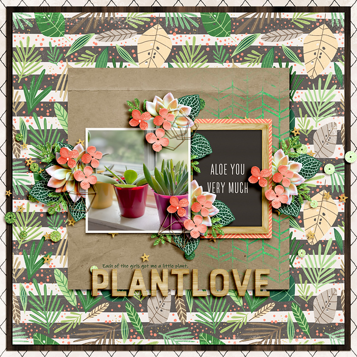 Plant Love