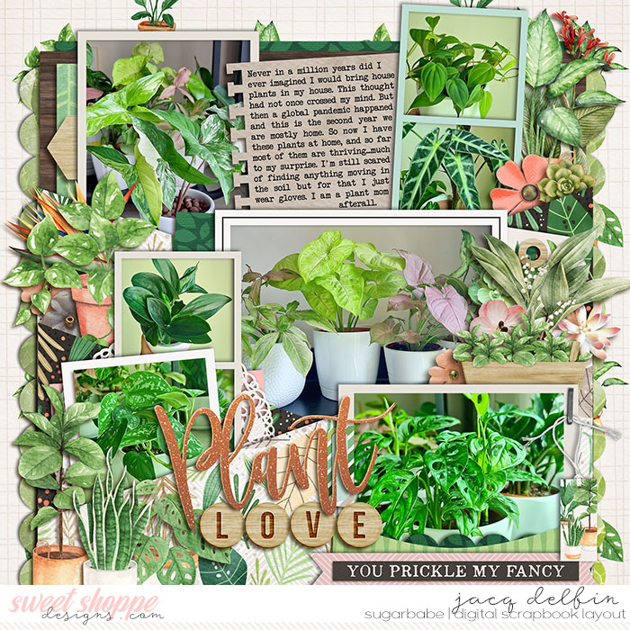 Plant Love