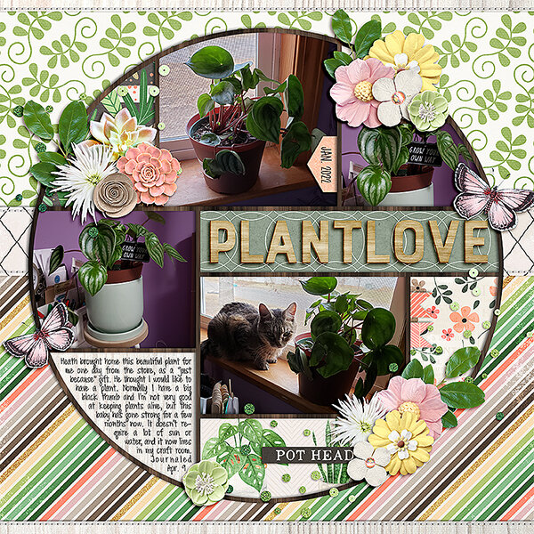 Plant Love