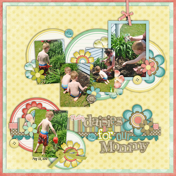Planting Daisies