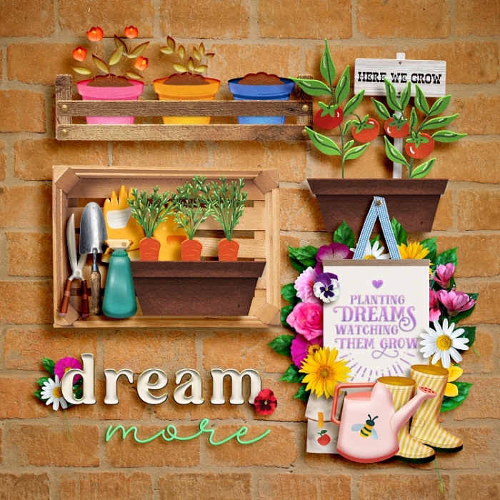 Planting Dreams