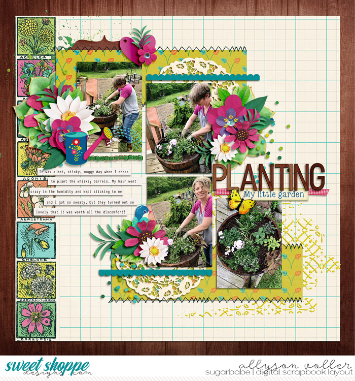 Planting My Little Garden