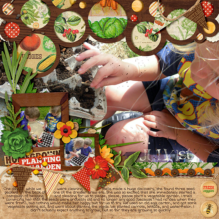 planting seeds