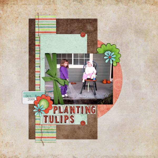 Planting Tullips