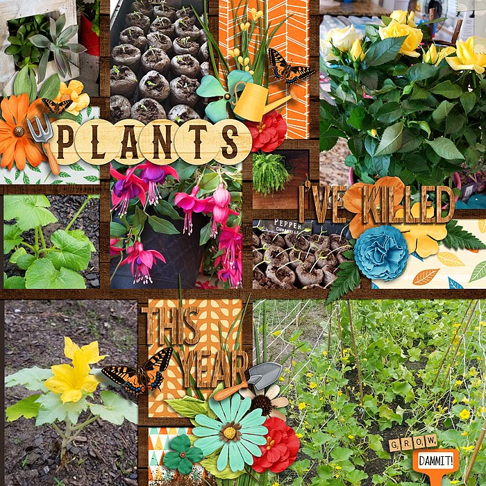 Plants I've Killed This Year