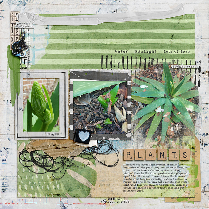 Plants
