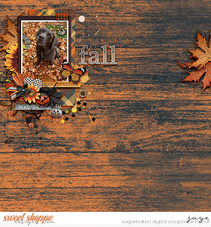 Playing in the Leaves