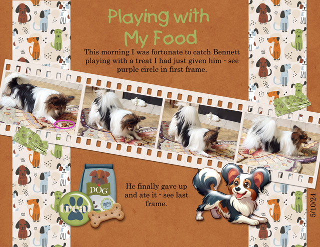 Playing With My Food