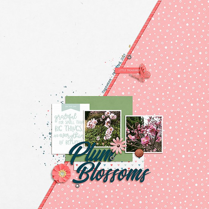 Plum Blossoms - 2019