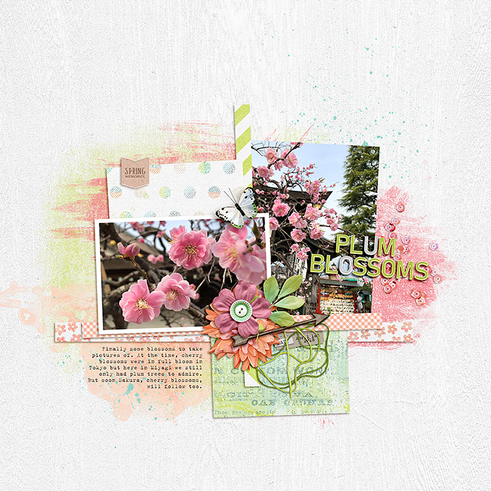 Plum Blossoms