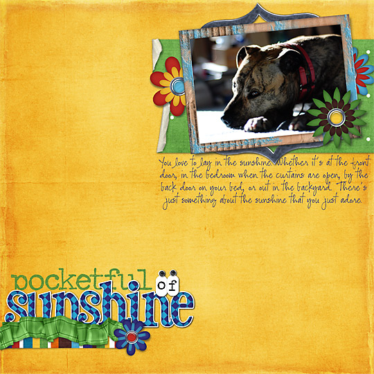 Pocketful of Sunshine