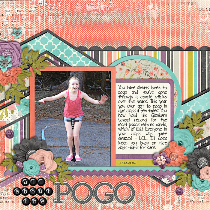 Pogo - N12 Challenge