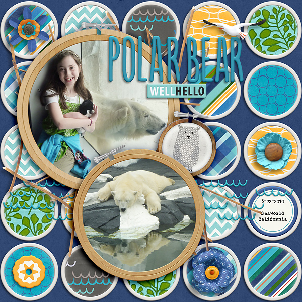 Polar Bear at the Zoo