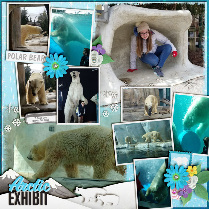 Polar Bears