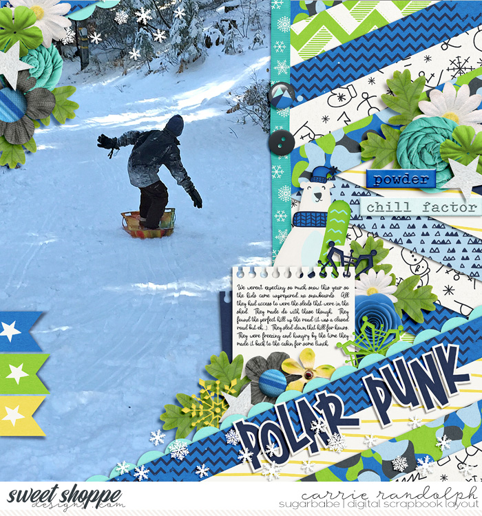 Polar Punk