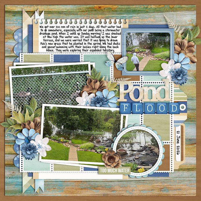 Pond Flood