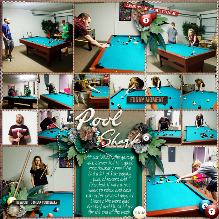 Pool Shark 2020