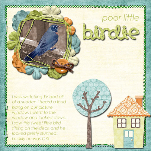 Poor Little Birdie