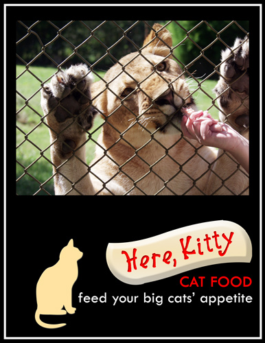 Pop 4- {big} cat food ad