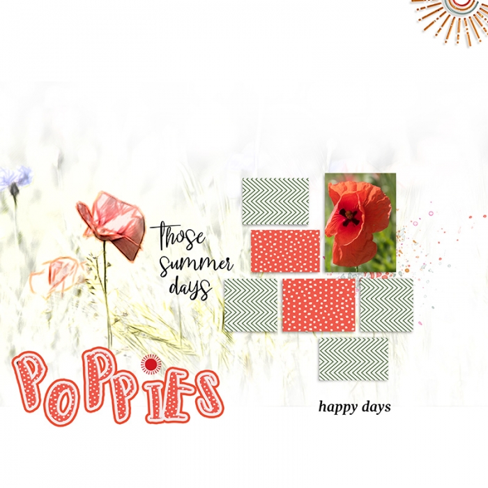 Poppies